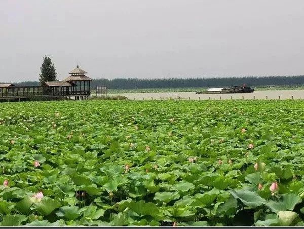 1570845972265936.jpg 6.jpg